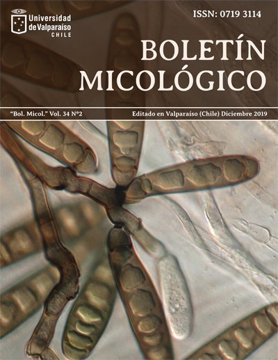 					View Vol. 34 No. 2 (2019)
				