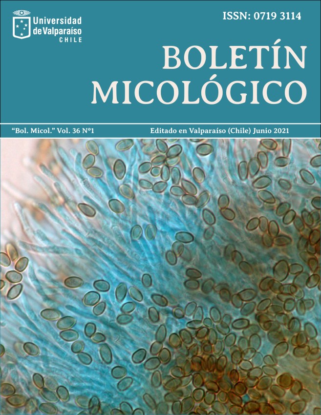 					View Vol. 36 No. 1 (2021)
				